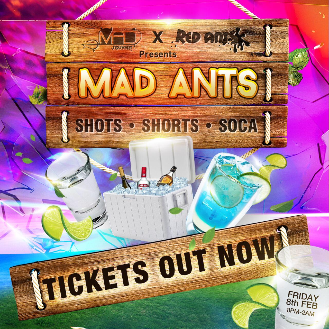 Mad Ants 2019